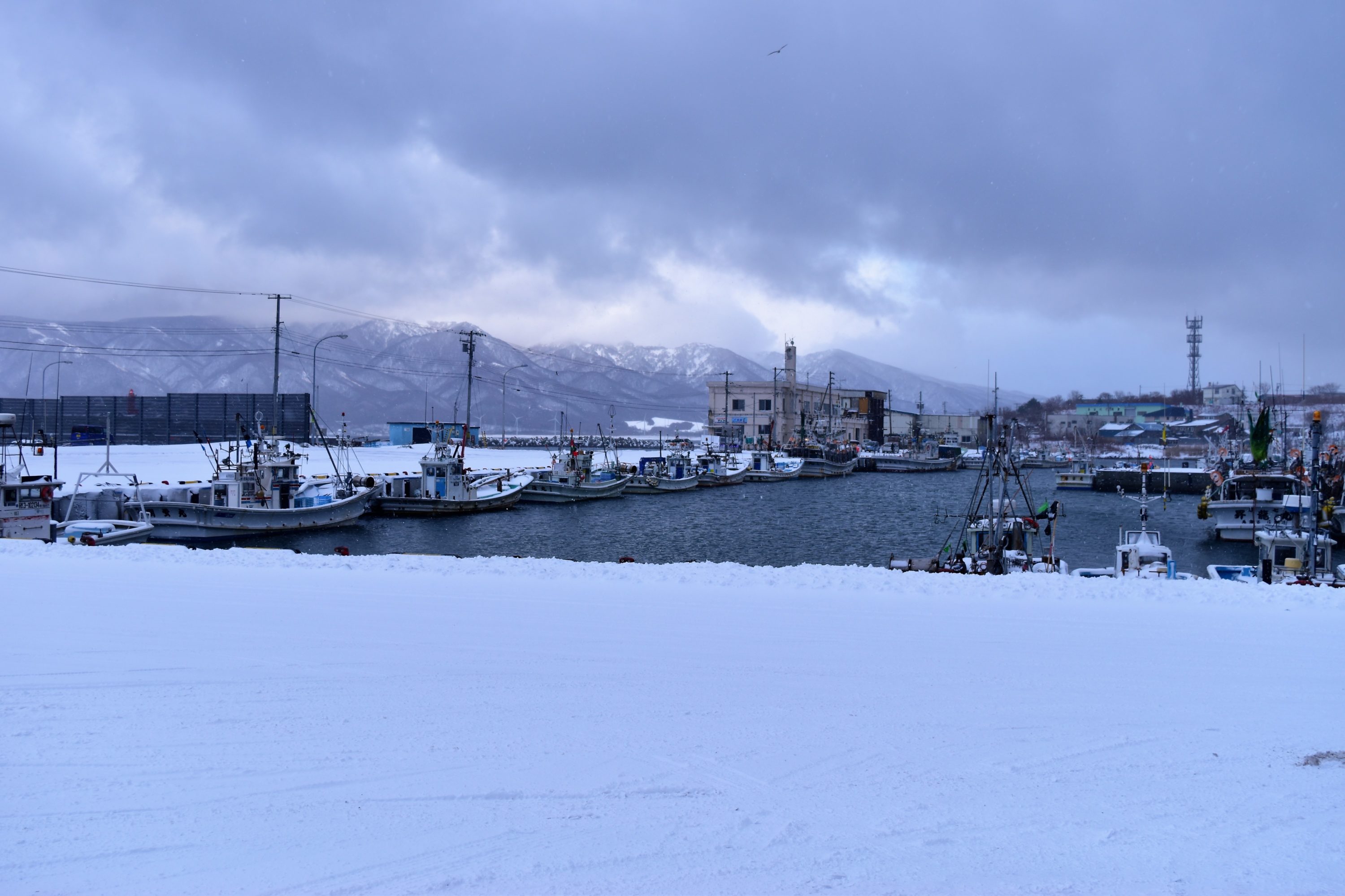 雪景色の寿都漁港